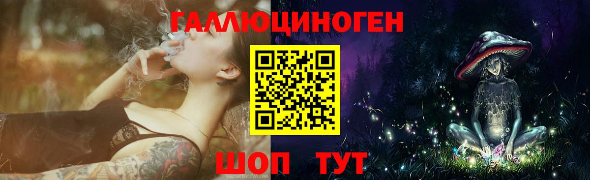 Алексеевка  Псилоцибиновые грибы Psilocybe  Псилоцибиновые грибы прущие грибы  Вход с VPN 